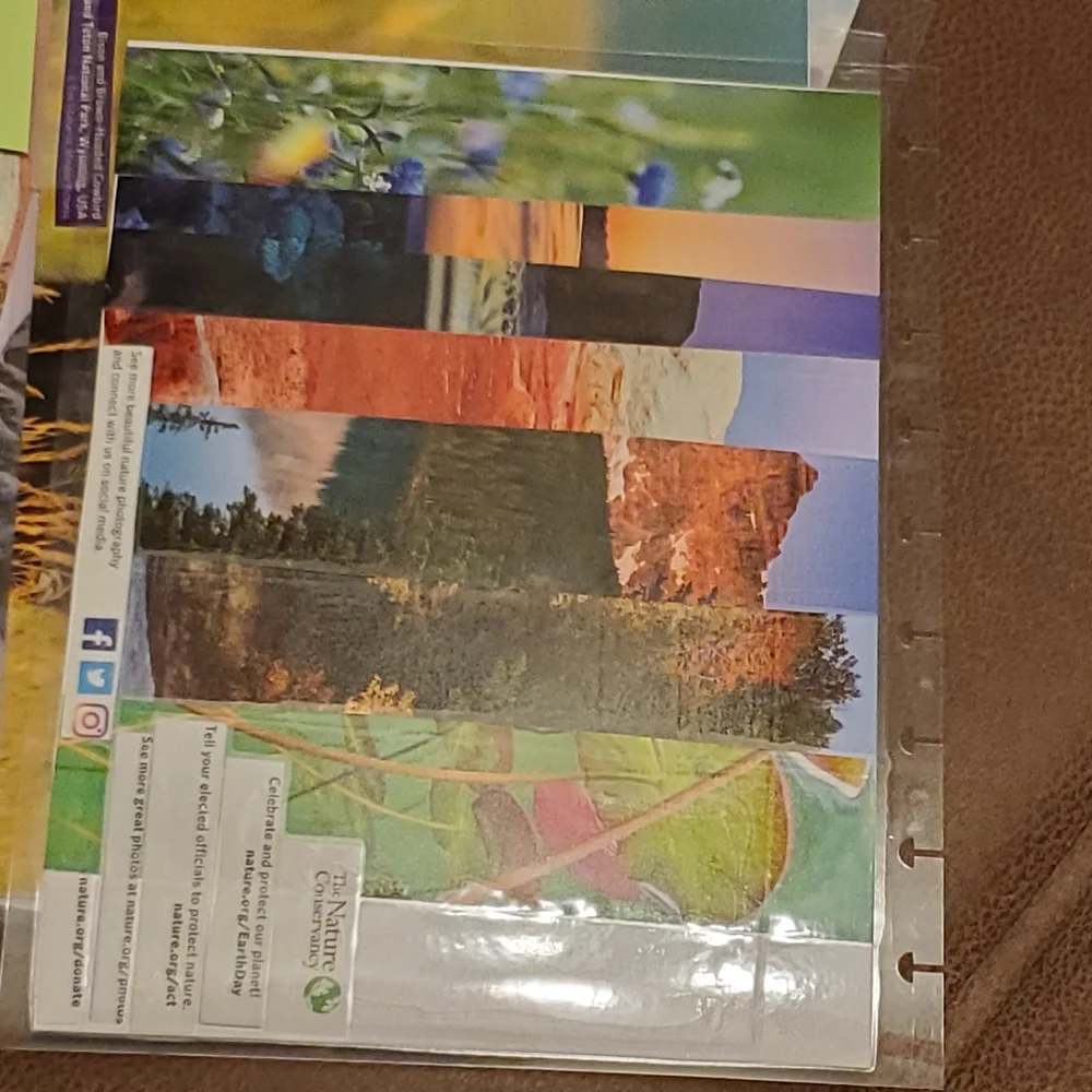 Homemade cover and 5 dashboards/dividers for a classic sized disc bound planner